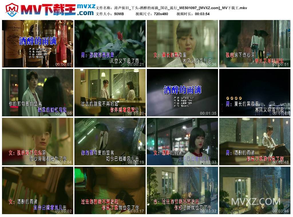 涛声依旧_丫头-酒醉的雨滴_国语_流行_ME501097